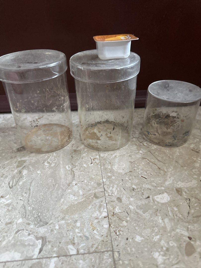 Used Plastic Containers - Set of 3