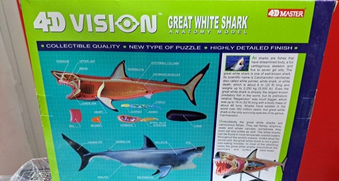 4D Vision Anatomy Model - Tyrannosaurus Rex, Great White Shark, Woolly ...