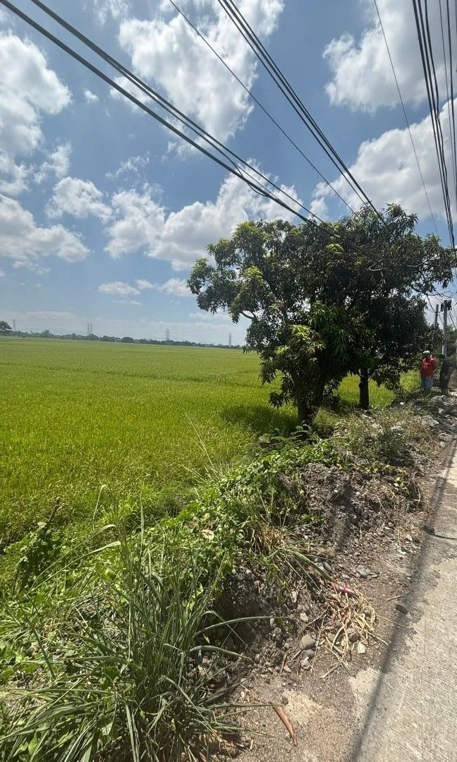 Agrifarm for Sale (Category: Lot) located in Rizal. Submitted by mjbatoc (Listing ID 1434454075, Image 1). Description: ❗️❗️Agrifarm for sale❗️❗️❗️ along national road Location:San Leonardo Nueva Ecija Lot area: 5 hectares highest and best use mixed Commercial and residential building 30Meters frontage Price 1,500 per sqm or 75M Clean Title ready for transfer Negotiable for sure buyer. Brokers direct to buyers are welcome to inquire. message for 