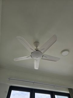(Category: ) located in . Submitted by chaibeloved (Listing ID 1434470362, Image 1). Description: .