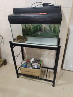 (Category: ) located in . Submitted by chan_spz (Listing ID 1434402464, Image 1). Description: .