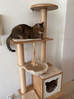 (Category: ) located in . Submitted by mathy0037647 (Listing ID 1434460534, Image 1). Description: .