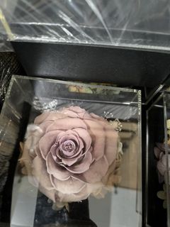 (Category: ) located in . Submitted by flowers.in.time (Listing ID 1434599547, Image 1). Description: .