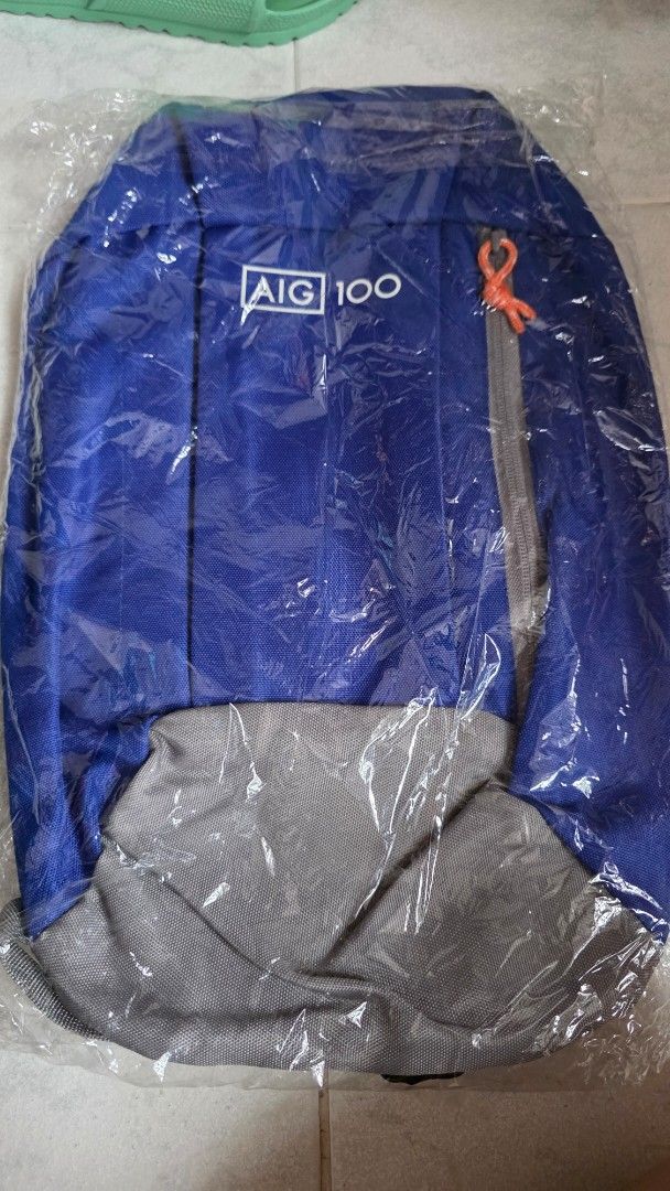 Small Backpack (Category: Backpacks) located in Singapore. Submitted by sallyfans (Listing ID 1434466818, Image 1). Description: -Same design as the small backpack from Decathlon - A good buy if you don't mind the AIG branding -40cm x 26 cm - Additional $1.50 for normal mail postage - Paynow or Paylah .