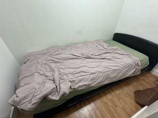 (Category: ) located in . Submitted by plantheaddd (Listing ID 1434579147, Image 1). Description: .