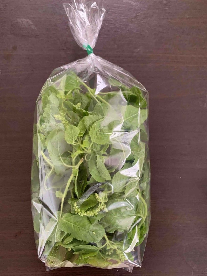 Thai Basil (Category: Plants & Seeds) located in Dasmarinas. Submitted by pepperronnie (Listing ID 1434436266, Image 1). Description: This is Thai Basil 🌿 Also known as Horapha in Thai or Kemangi in some regions. It has pointed leaves with slightly serrated edges and a very distinct, strong aroma that is different from regular sweet basil. It is an essential ingredient in many Southeast Asian dishes like Pad Kra Pao, Green Curry, and Tomyum! 😋 