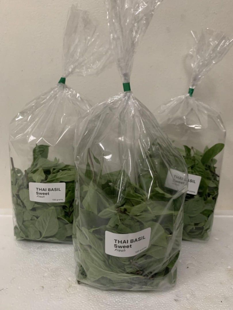 Thai Basil (Category: Plants & Seeds) located in Dasmarinas. Submitted by pepperronnie (Listing ID 1434436266, Image 2). Description: This is Thai Basil 🌿 Also known as Horapha in Thai or Kemangi in some regions. It has pointed leaves with slightly serrated edges and a very distinct, strong aroma that is different from regular sweet basil. It is an essential ingredient in many Southeast Asian dishes like Pad Kra Pao, Green Curry, and Tomyum! 😋 
