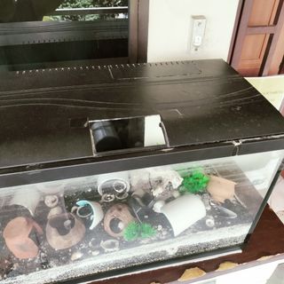(Category: ) located in . Submitted by faizal.mr (Listing ID 1429947581, Image 1). Description: .