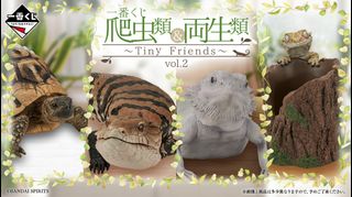 （分類：）位於 。 由 samwellshoppe 提交（商品編號 1434731354，圖片 1）。簡介： 。