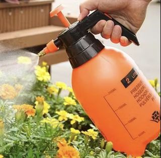 (Category: ) located in . Submitted by wildflower-291b81 (Listing ID 1434412089, Image 1). Description: .