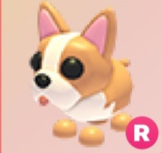 (Category: ) located in . Submitted by adoptmeitems (Listing ID 1434723631, Image 1). Description: .