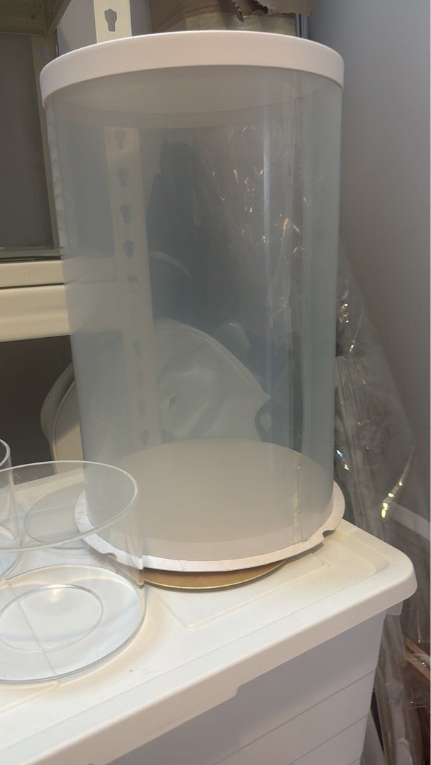 Clear Cake Carrier with White Lid