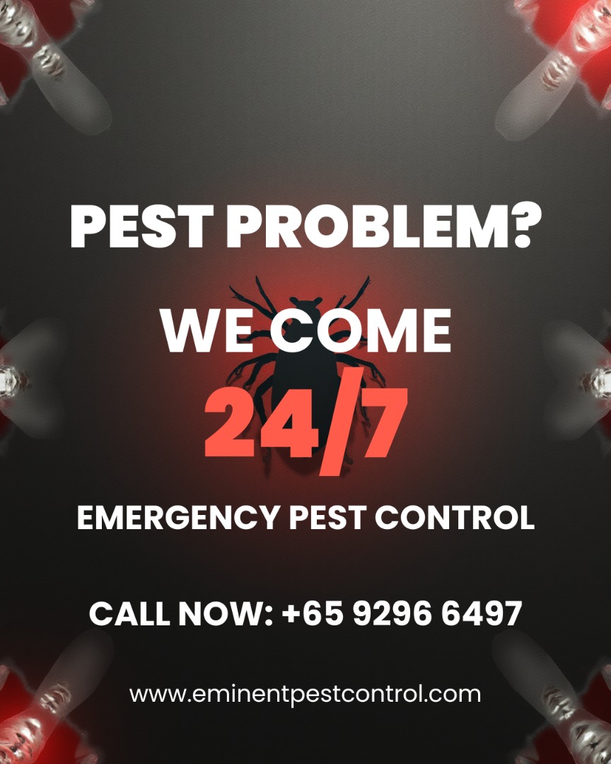 (Category: ) located in . Submitted by eminentpestcontrol.sg (Listing ID 1434675154, Image 1). Description: .