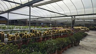 (Category: ) located in . Submitted by bh2862 (Listing ID 1425579569, Image 1). Description: .