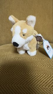 （分類：）位於 。 由 chungtto 提交（商品編號 1434768160，圖片 1）。簡介： 。