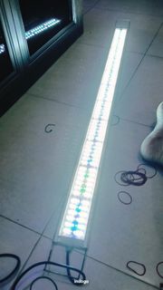 (Category: ) located in . Submitted by goodlymen (Listing ID 1434716167, Image 1). Description: .