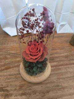 (Category: ) located in . Submitted by flowers.in.time (Listing ID 1434669605, Image 1). Description: .