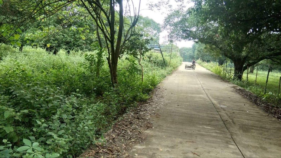Norzagaray lot 12,200 SQM (with >20 mango trees) (Category: Lot) located in Manila. Submitted by harleyy1230 (Listing ID 1434793191, Image 1). Description: Barrio tigbe balasin road norzagaray bulacan. 12200sqm with more than 20 mango trees corner lot along brgy road. 3000/ sqm. Open also to long term lease @. 120k per month.
