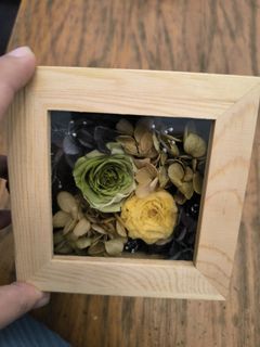 (Category: ) located in . Submitted by flowers.in.time (Listing ID 1434670626, Image 1). Description: .