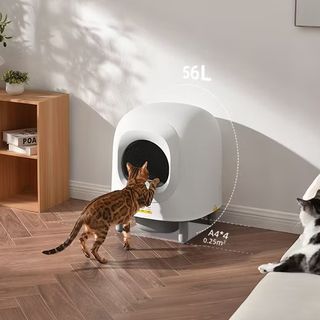 (Category: ) located in . Submitted by junjun_cheng (Listing ID 1434712668, Image 1). Description: .