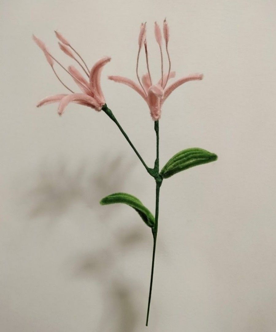 Spider lily pipe cleaner flower (Category: Flowers & Bouquets) located in Singapore. Submitted by hohocherryy (Listing ID 1353573124, Image 1). Description: ✔️100% handmade ✔️For people who like more unique flowers! ✔️Can request for preferred flowers Available ones are: -sunflower -lily -daisies (yellow, pink, red) -spider lily -filler leaves(show picture for specific lead design) -rose Qty for now: 1pc can request for more!! priced a bit higher