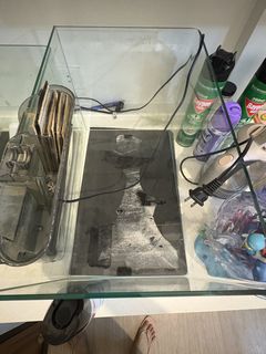 (Category: ) located in . Submitted by Limsoc (Listing ID 1434922951, Image 1). Description: .