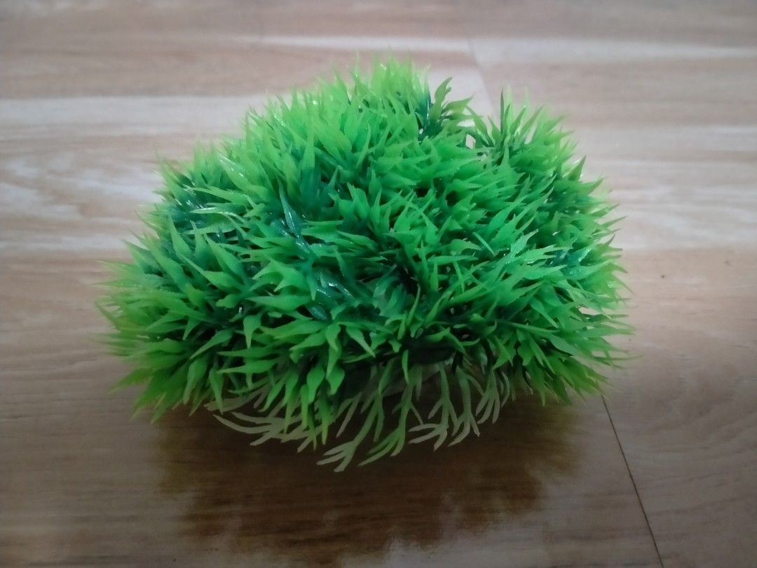 AQUARUIM ARTIFICIAL PLANT SET (Category: Artificial Plants & Flowers) located in Cabuyao City. Submitted by Bike_Clothing10 (Listing ID 1434863760, Image 3). Description: READ FIRST... FOR SALE: AQUARUIM ARTIFICIAL PLANT SET Brandnew 7 SETS AVAILABLE PRICE: 650 Free Shipping (J&T) PICK UP OR SHIPPING ONLY LOCATION: Cabuyoa Alguna -NO COD/COP- DM FOR INQUIRIES...