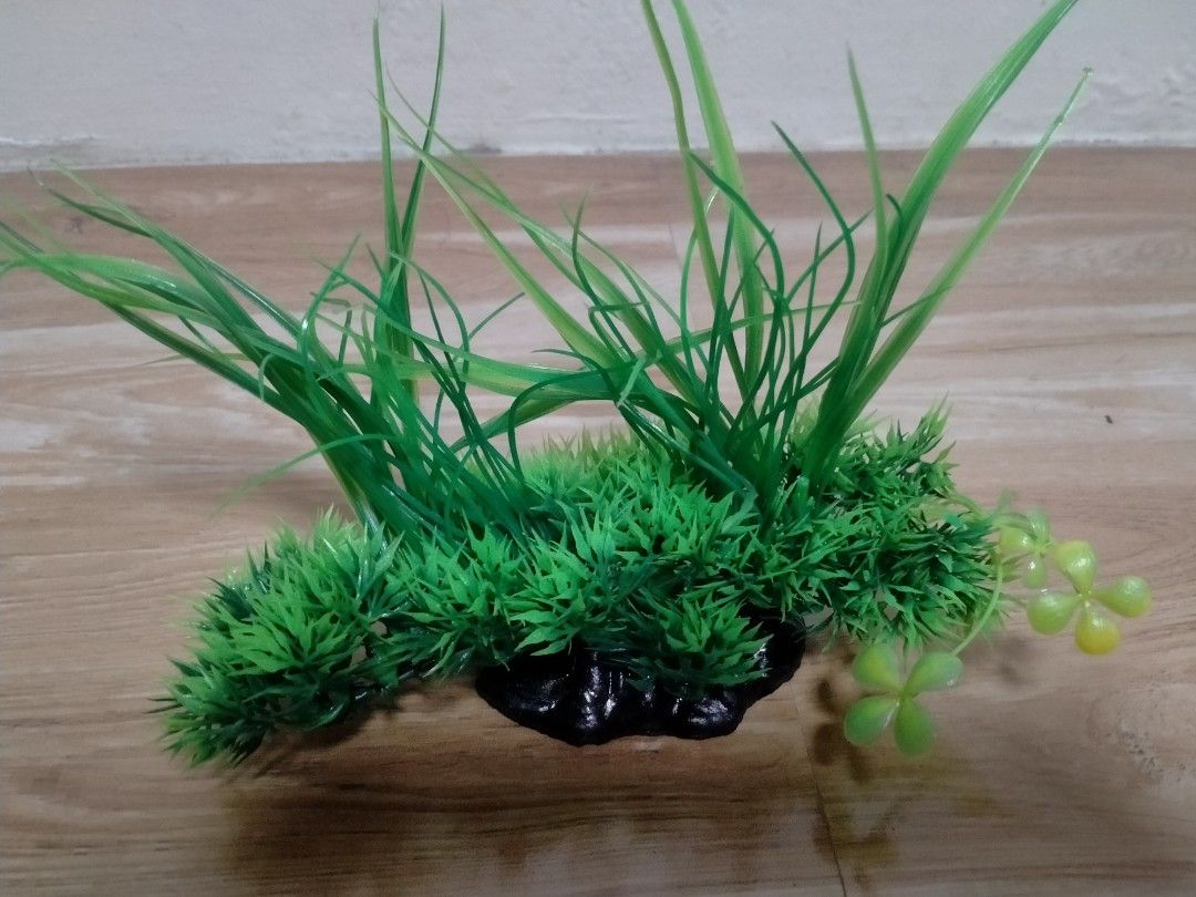 AQUARUIM ARTIFICIAL PLANT SET (Category: Artificial Plants & Flowers) located in Cabuyao City. Submitted by Bike_Clothing10 (Listing ID 1434863760, Image 2). Description: READ FIRST... FOR SALE: AQUARUIM ARTIFICIAL PLANT SET Brandnew 7 SETS AVAILABLE PRICE: 650 Free Shipping (J&T) PICK UP OR SHIPPING ONLY LOCATION: Cabuyoa Alguna -NO COD/COP- DM FOR INQUIRIES...