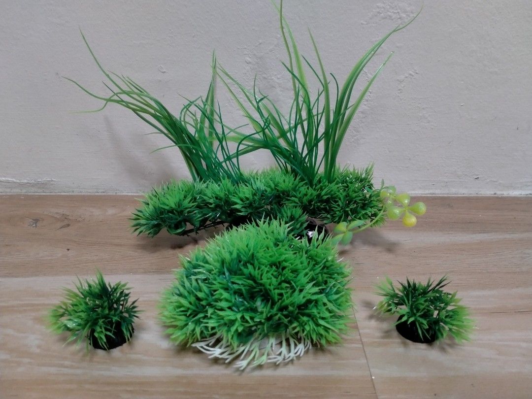 AQUARUIM ARTIFICIAL PLANT SET (Category: Artificial Plants & Flowers) located in Cabuyao City. Submitted by Bike_Clothing10 (Listing ID 1434863760, Image 1). Description: READ FIRST... FOR SALE: AQUARUIM ARTIFICIAL PLANT SET Brandnew 7 SETS AVAILABLE PRICE: 650 Free Shipping (J&T) PICK UP OR SHIPPING ONLY LOCATION: Cabuyoa Alguna -NO COD/COP- DM FOR INQUIRIES...