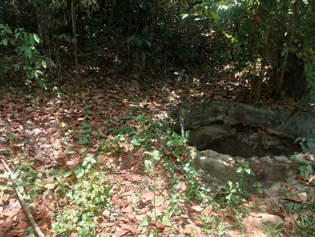 Farm Lot (Category: Lot) located in Nueva Valencia. Submitted by totobert (Listing ID 1434965737, Image 3). Description: 3Hectar Solo Title OCT Title along Brgy Road Connected to Cemented Road 💯%Flat Area Good For Farming and Rest House they have More trees w/Source of Water and Electricity line.