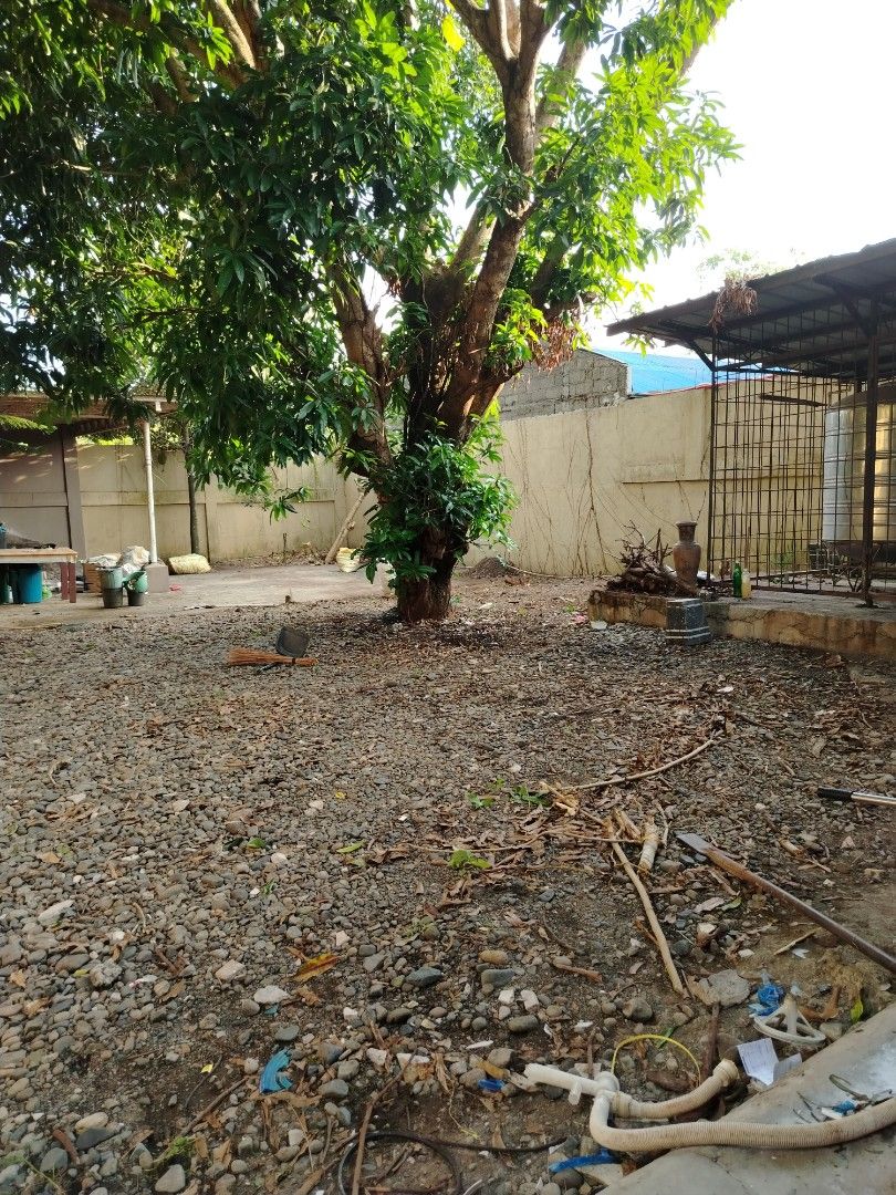 House and Lot (Category: House & Lot) located in Tagum. Submitted by mjprelovedbags2020 (Listing ID 1434852779, Image 2). Description: 📣 FOR SALE: 500 sqm House & Lot in Tagum City 📍 Location: Mabini Street, Brgy. San Miguel, Tagum City (Along main road, very near Bridges Academy Tagum) ⸻ 🏡 Property Details: * Lot Area: 500 sqm * 2-Storey House * 7 Bedrooms | 5 Bathrooms * Garage (fits up to 2 cars) * Spacious open area (perfect for gatherings