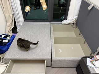 （分類：）位於 。 由 kwan0709 提交（商品編號 1434937678，圖片 1）。簡介： 。
