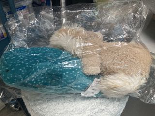 （分類：）位於 。 由 243692 提交（商品編號 1434986112，圖片 1）。簡介： 。