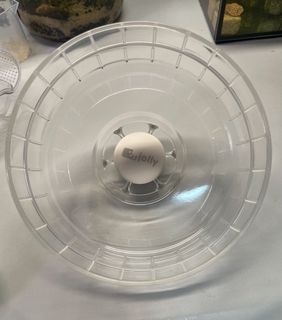 （分類：）位於 。 由 ydc474 提交（商品編號 1434990543，圖片 1）。簡介： 。