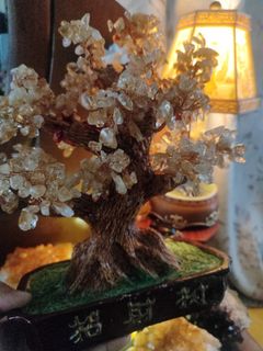 (Category: ) located in . Submitted by vintagetreasures2222 (Listing ID 1434809774, Image 1). Description: .