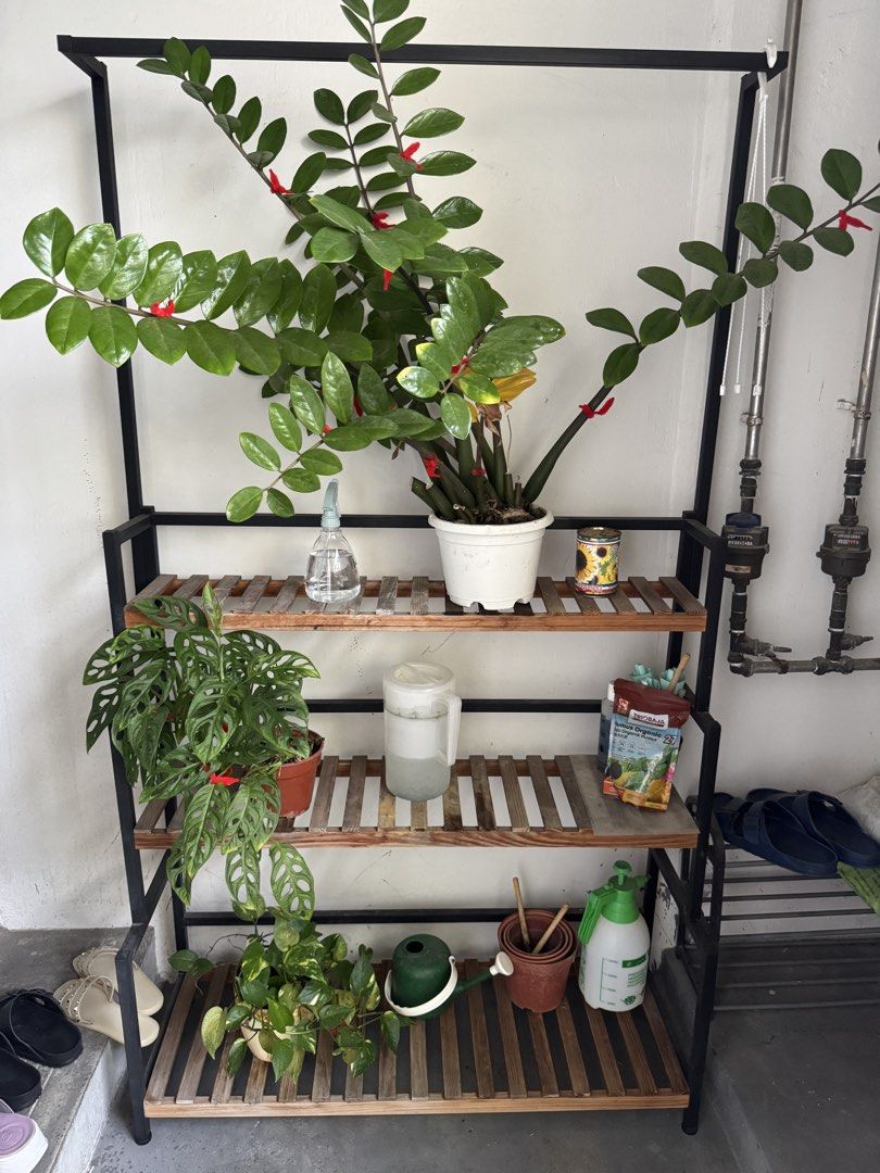 Metal and Wood Plant Stand