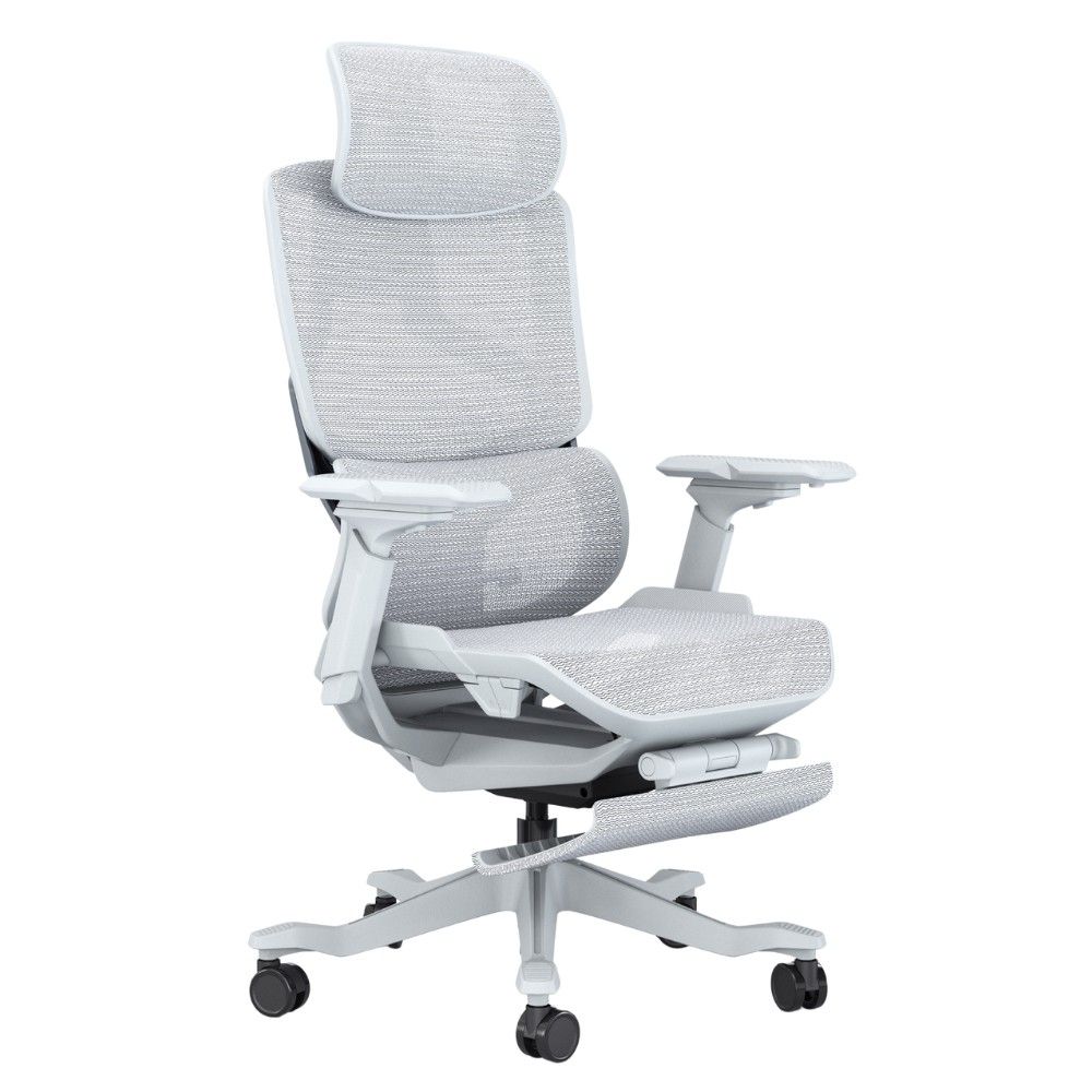 Spectra Ergonomic Chair with Legrest, Furniture & Home Living ...
