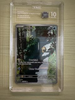 （分類：）位於 。 由 tling1 提交（商品編號 1434898600，圖片 1）。簡介： 。