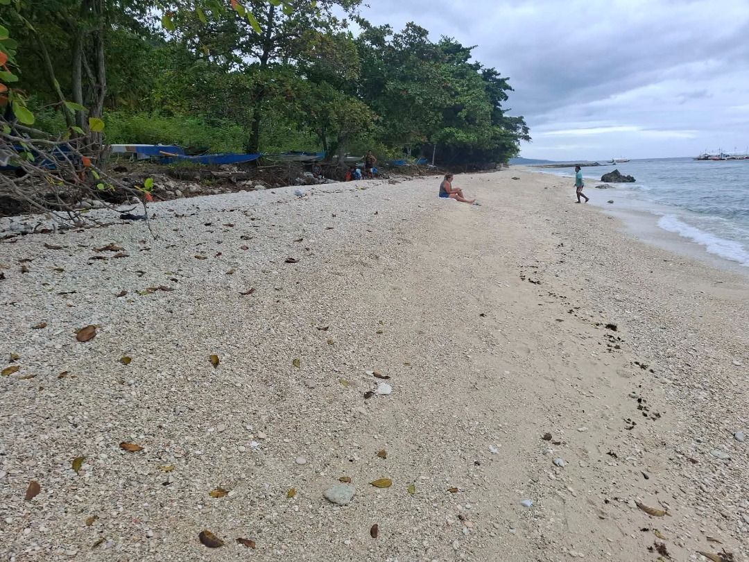 WHITE SAND BEACHFRONT LOT FOR SALE IN OSLOB, CEBU (Category: Lot) located in Cebu City. Submitted by phprorealty (Listing ID 1434953473, Image 1). Description: 🏝️ Oslob Cebu Beachfront Lot for Sale | White Sand • Highway Frontage • Sumilon Views Own a rare piece of white sand beachfront in Oslob, Cebu—perfect for a resort, boutique hotel, or private coastal estate. Wake up to clear waters, island views, and year-round tourism demand in one of Ce