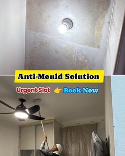 Anti Mould Treatment  Collection item 2