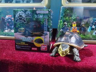 (Category: ) located in . Submitted by boxoftoys01 (Listing ID 1435147891, Image 1). Description: .