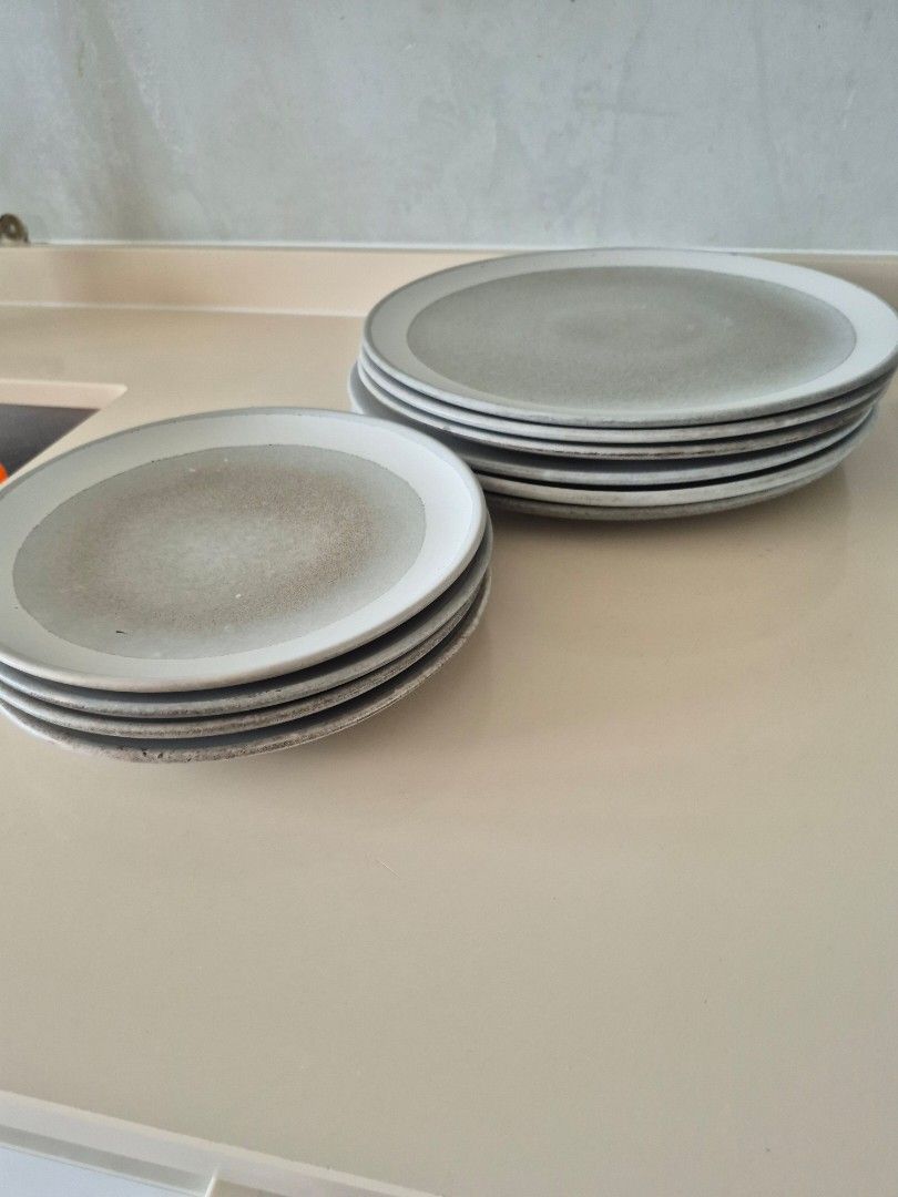 All Crate & Barrel Dinner Plates