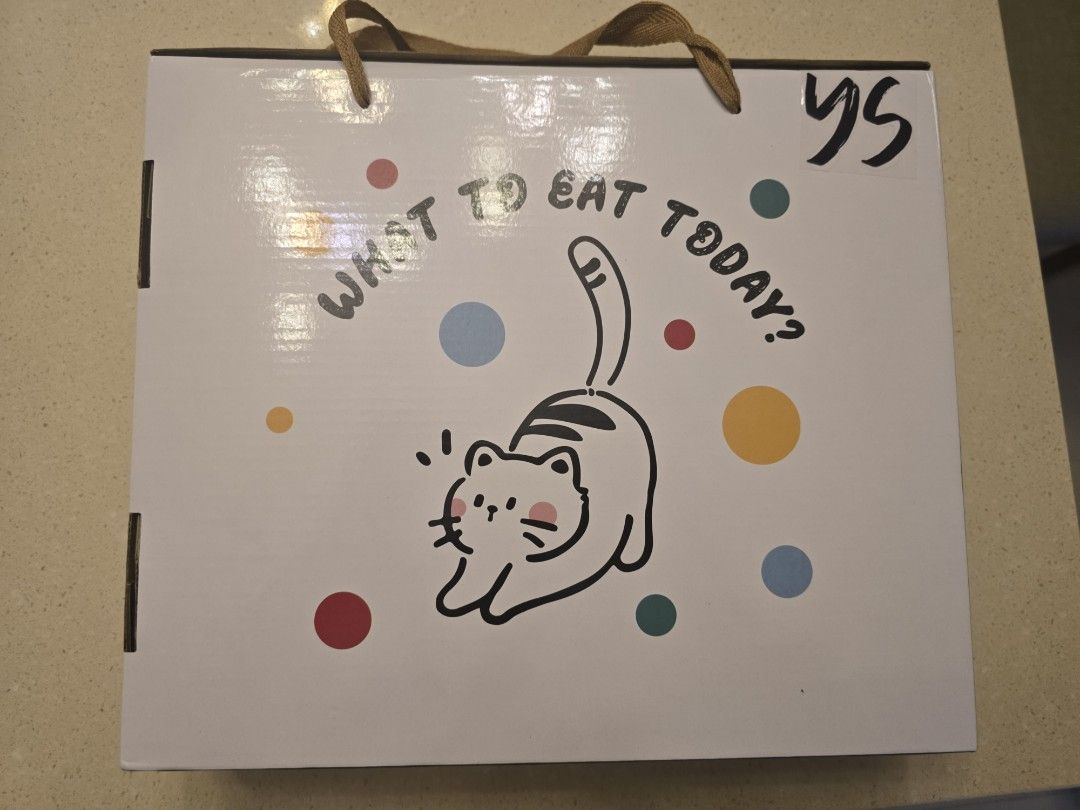 Cute Cat Design Food Containers Set440407343550310407