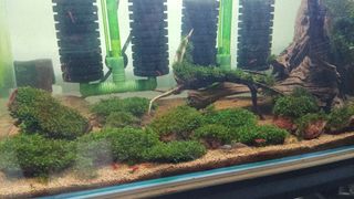 (Category: ) located in . Submitted by hi.im.yj (Listing ID 1435088426, Image 1). Description: .