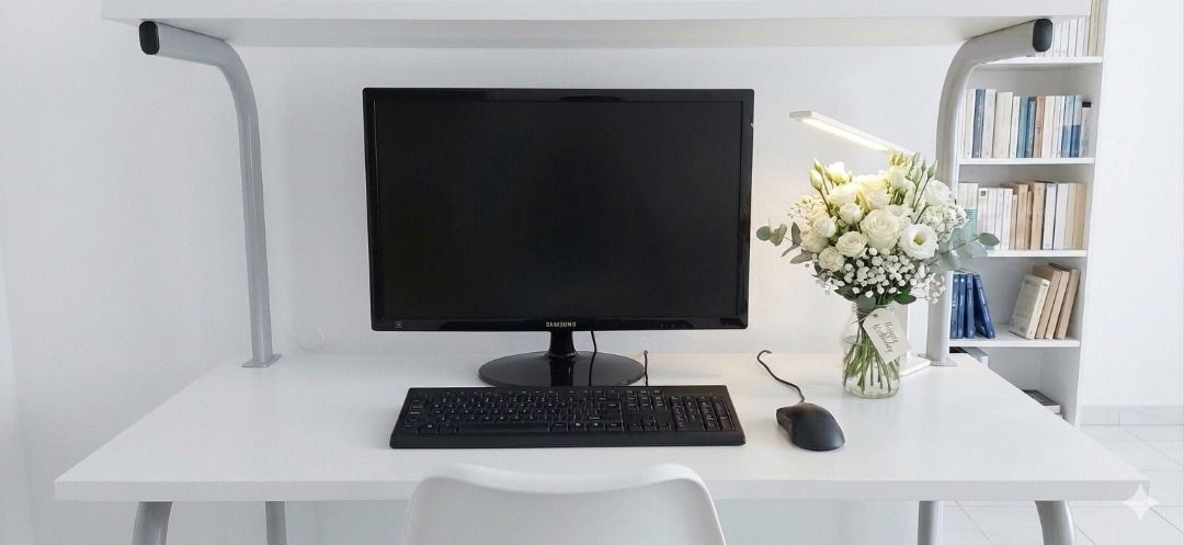 Samsung Monitor with HP Keyboard and Mouse