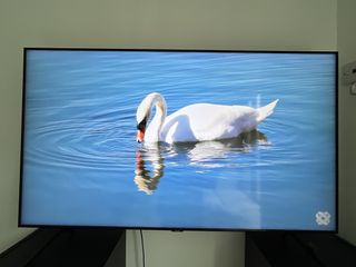 （分類：）位於 。 由 emberembi 提交（商品編號 1435079250，圖片 1）。簡介： 。