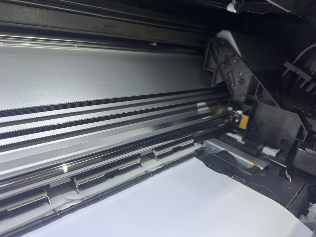 Shawn440363800771973121