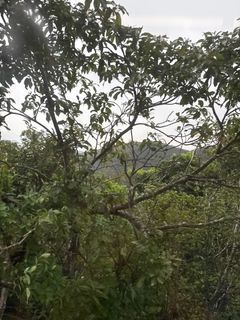 （分類：）位於 。 由 tomyip35 提交（商品編號 1429910090，圖片 1）。簡介： 。