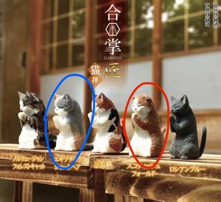 （分類：）位於 。 由 yn027 提交（商品編號 1429979430，圖片 1）。簡介： 。