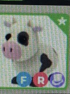 (Category: ) located in . Submitted by mysticcat.4e119d (Listing ID 1429973598, Image 1). Description: .